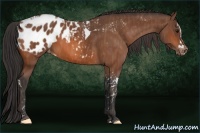 Horse Color:Bay Splash Tobiano Blanket  Brindle