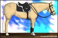 Horse Color:Palomino 