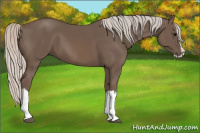 Horse Color:Silver Black Splash 