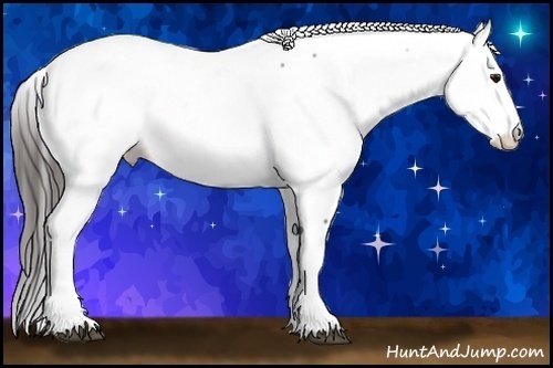 Horse Color: Bay Fewspot 