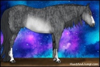 Horse Color:Brown Chinchilla Rabicano  Brindle