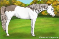 Horse Color:Silver Grullo Splash