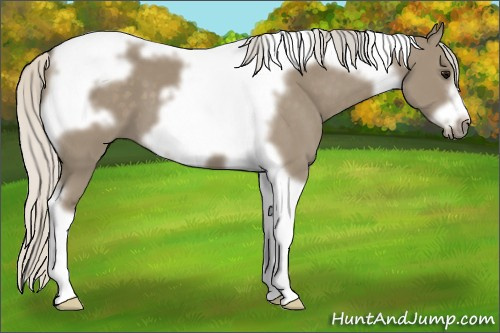 Horse Color: Silver Smoky Grullo Tobiano Frame 