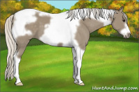 Horse Color:Silver Smoky Grullo Tobiano Frame 