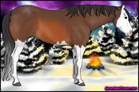 Horse Color:Bay Splash 