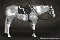 Horse Color:White Spotted Liver Chestnut Splash Varnish 