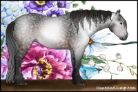 Horse Color:Gray Brown 