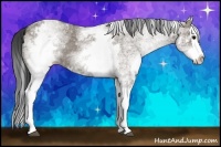 Horse Color:White Spotted Grullo Splash 