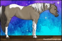 Horse Color:Smoky Grullo Tobiano 