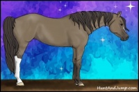 Horse Color:Smoky Grullo 