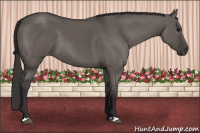 Horse Color:Smoky Grullo 