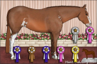 Horse Color:Chestnut Sabino