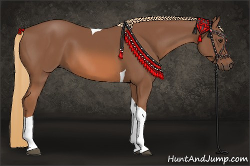 Horse Color: Chestnut Tobiano 
