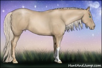 Horse Color:Chocolate Palomino Pearl 