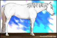 Horse Color:Liver Chestnut Splash Tobiano Near Fewspot