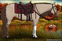 Horse Color:Liver Red Dun 