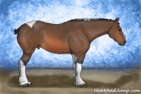Horse Color:Bay Tobiano Rabicano 