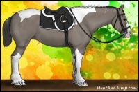 Horse Color:Grullo Splash Tobiano 