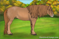 Horse Color:Red Roan Splash 