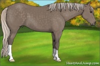 Horse Color:Silver Black 