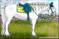 Horse Color:Silver Amber Champagne Roan Dun Splash Tobiano Frame Appaloosa Rabicano