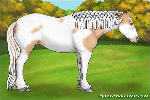 Horse Color:Silver Amber Champagne Roan Splash Tobiano Frame Rabicano