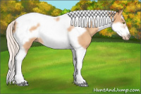 Horse Color:Silver Amber Champagne Roan Splash Tobiano Frame Rabicano 