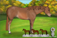 Horse Color:Chestnut Rabicano 