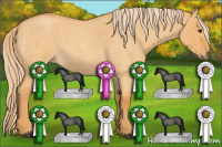 Horse Color:Palomino Roan Dun 