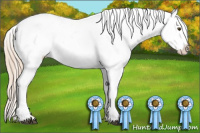 Horse Color:Palomino Roan Dun Blanket 
