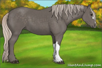 Horse Color:Silver Black 