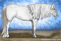 Horse Color:White Spotted Black Splash Tobiano Frame Appaloosa