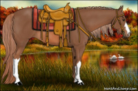 Horse Color:Liver Chestnut 