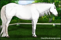 Horse Color:Gray Chestnut Snowcap 