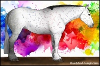 Horse Color:Gray Black 