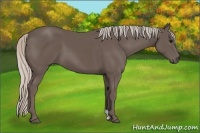 Horse Color:Silver Black 