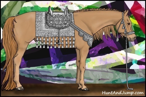 Horse Color: Chestnut 