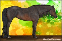 Horse Color:Brown Rabicano  Brindle
