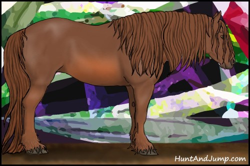 Horse Color: Chestnut 