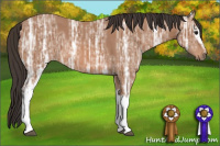 Horse Color:White Spotted Bay Ice