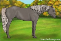 Horse Color:Silver Black 