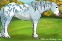 Horse Color:Watercolor Brown Ice Splash Appaloosa Rabicano 