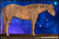Horse Color:Chestnut Brindle