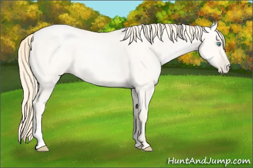 Horse Color: Sable Cream Champagne Pearl Dun Sabino 