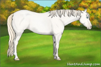 Horse Color:Sable Cream Champagne Pearl Dun Sabino 