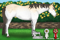 Horse Color:White Spotted Buckskin