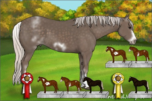 Horse Color: White Spotted Silver Black Frame 