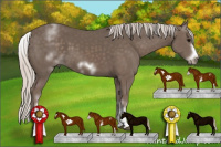 Horse Color:White Spotted Silver Black Frame 