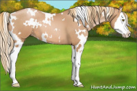 Horse Color:White Spotted Liver Chestnut Pearl Splash 