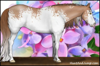 Horse Color:White Spotted Brown Pearl Rabicano